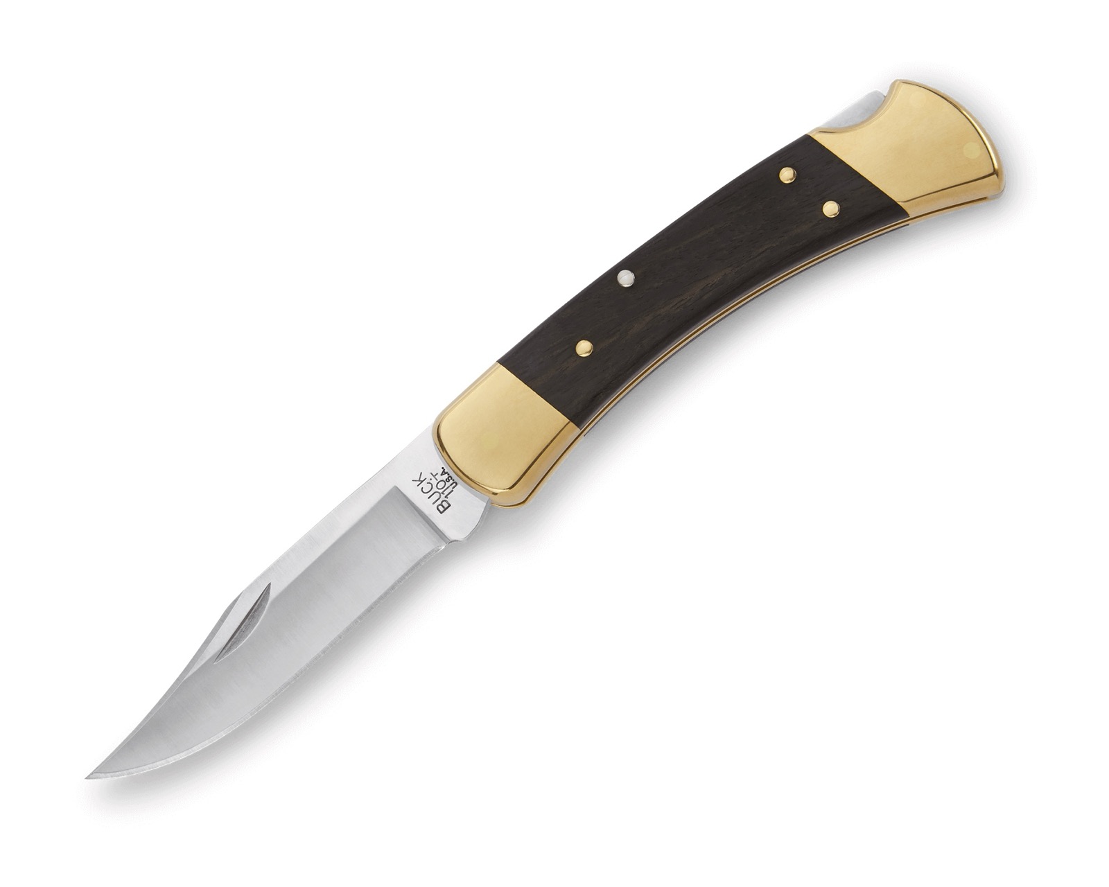 Buck 110 folding hunter